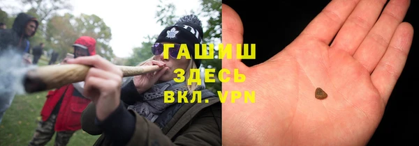 сатива Балахна