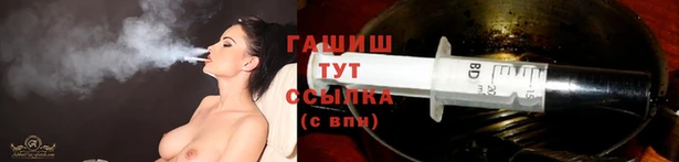 сатива Балахна