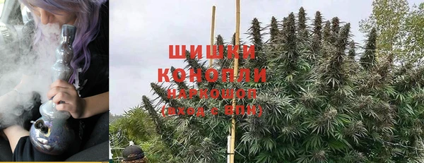 сатива Балахна