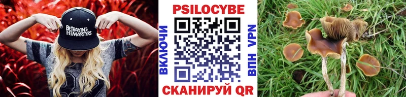 Галлюциногенные грибы GOLDEN TEACHER  наркотики  Карабулак 